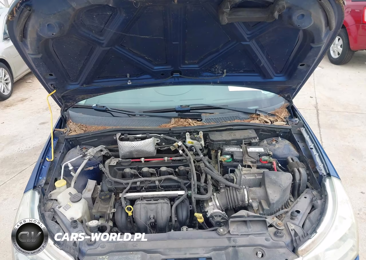 2009 Ford Focus S VIN:1FAHP34N79W180597 - 10