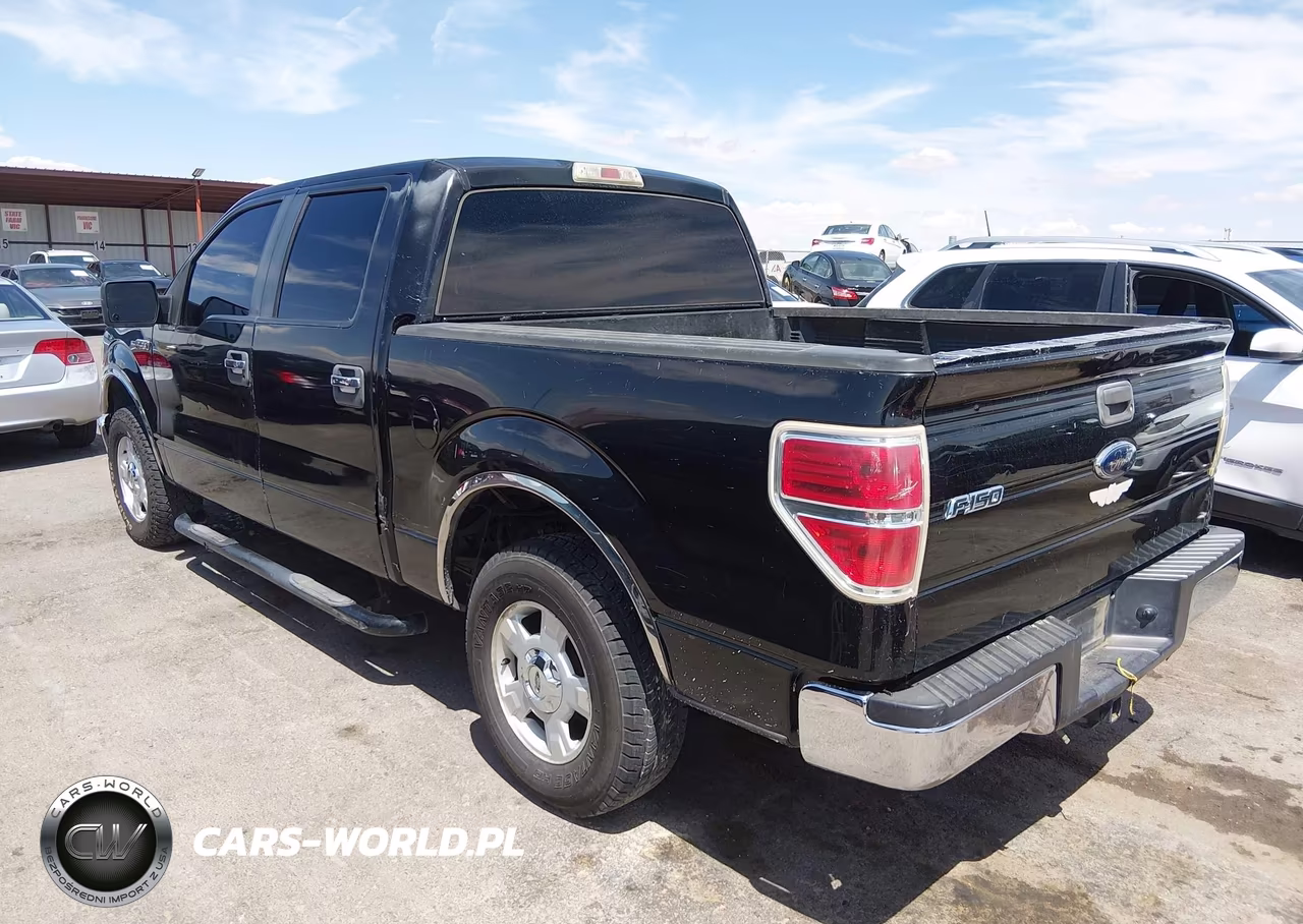 2009 Ford F-150 Xl-Xlt VIN:1FTRW12849FA86776 - 3
