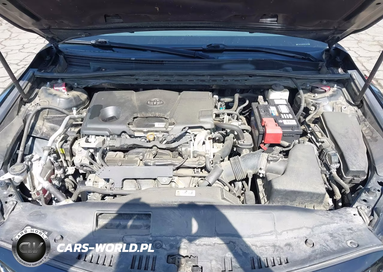 2019 Toyota Camry Se VIN:4T1B11HK5KU731807 - 10