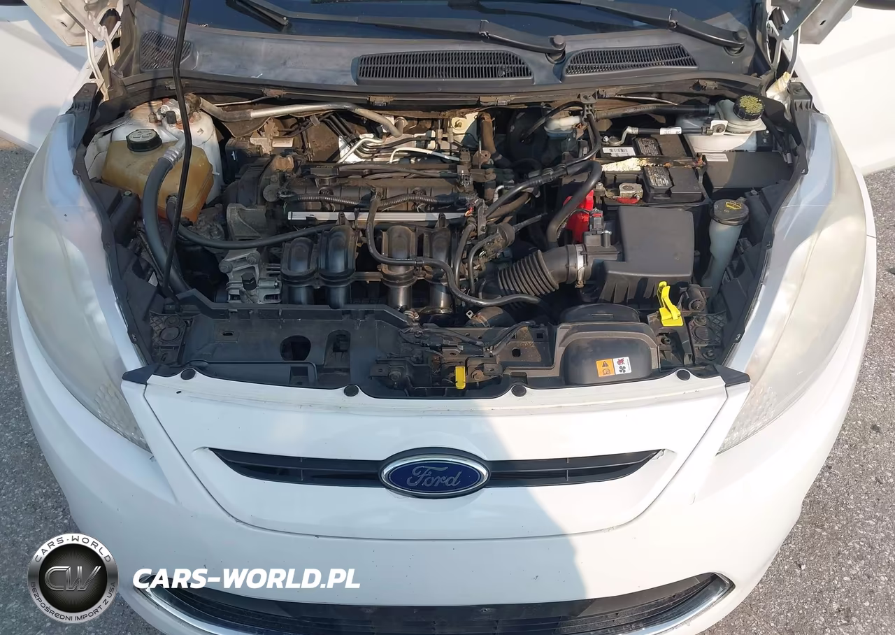 2013 Ford Fiesta S VIN:3FADP4TJ1DM215419 - 10