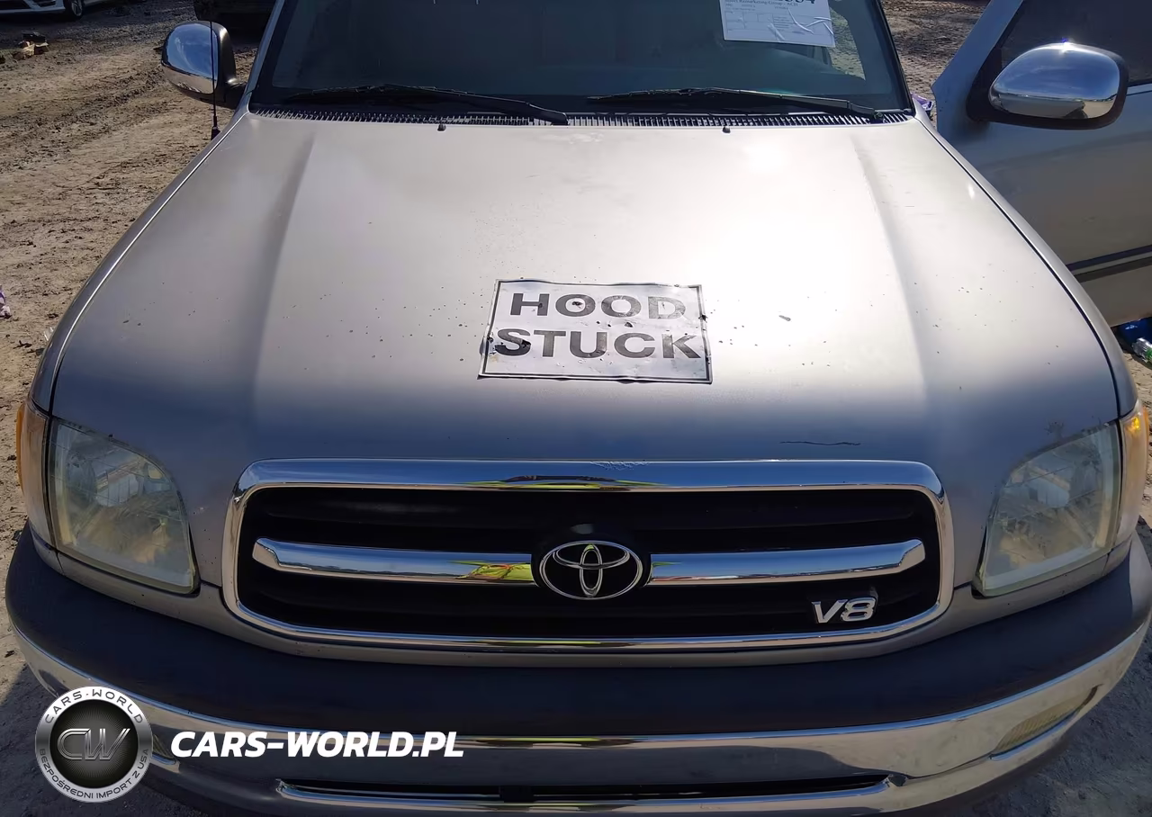 2002 Toyota Tundra Sr5 V8 VIN:5TBRT34102S287349 - 10
