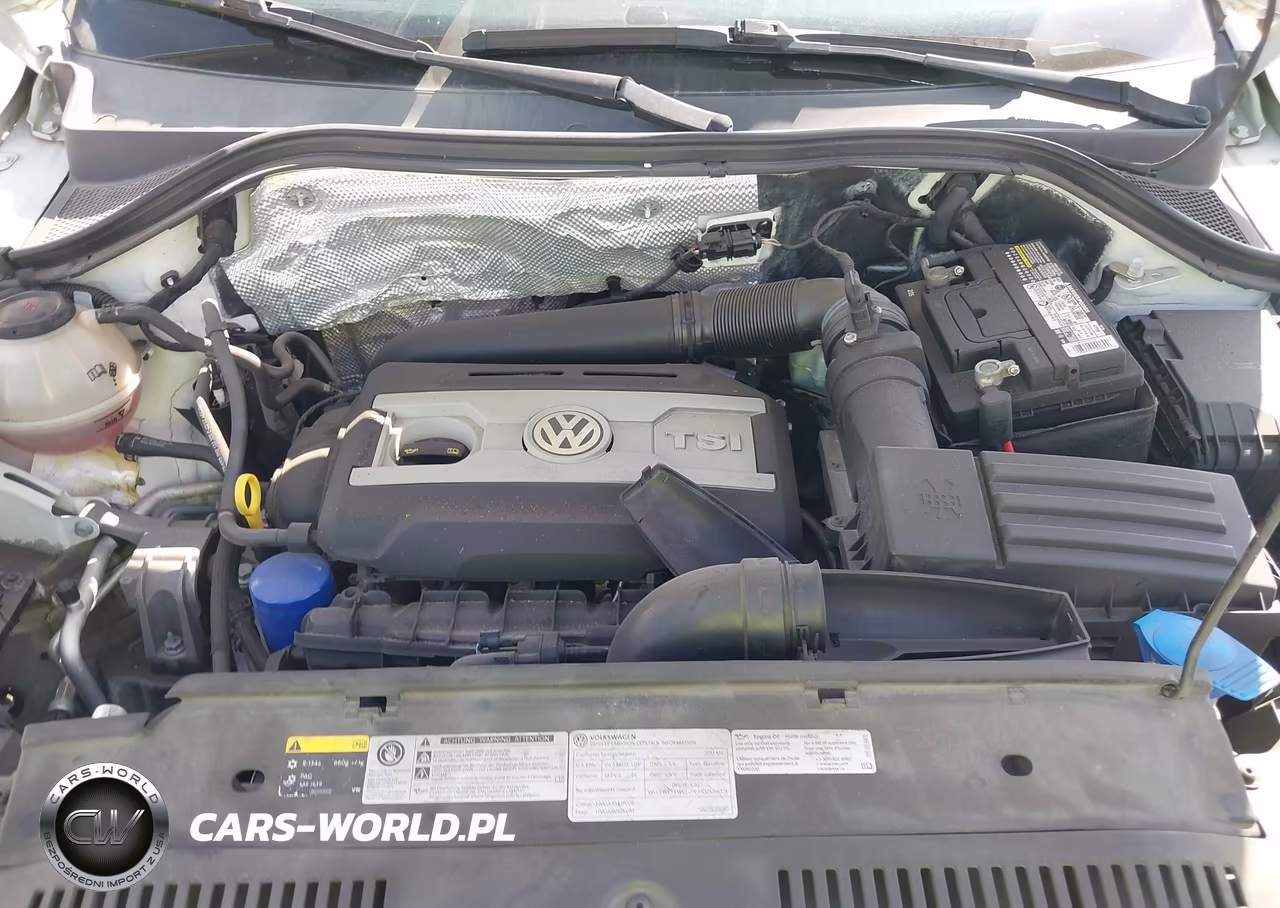 2017 Volkswagen Tiguan 2.0T-2.0T S VIN:WVGAV7AX2HK046502 - 10