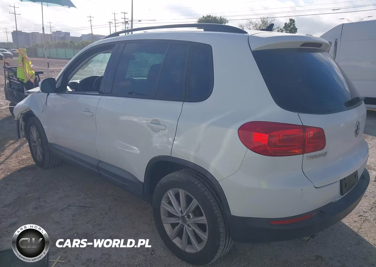 2017 Volkswagen Tiguan 2.0T-2.0T S VIN:WVGAV7AX2HK046502 - 3