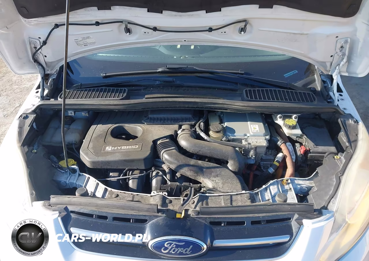 2015 Ford C-Max Hybrid Se VIN:1FADP5AU6FL119017 - 10