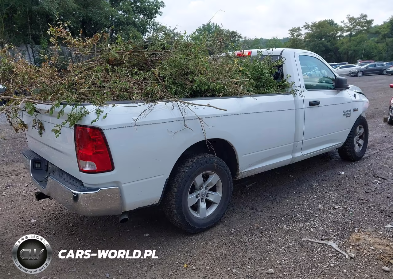 2019 Ram 1500 Classic Tradesman 4X2 8' Box VIN:3C6JR6DT7KG510899 - 4