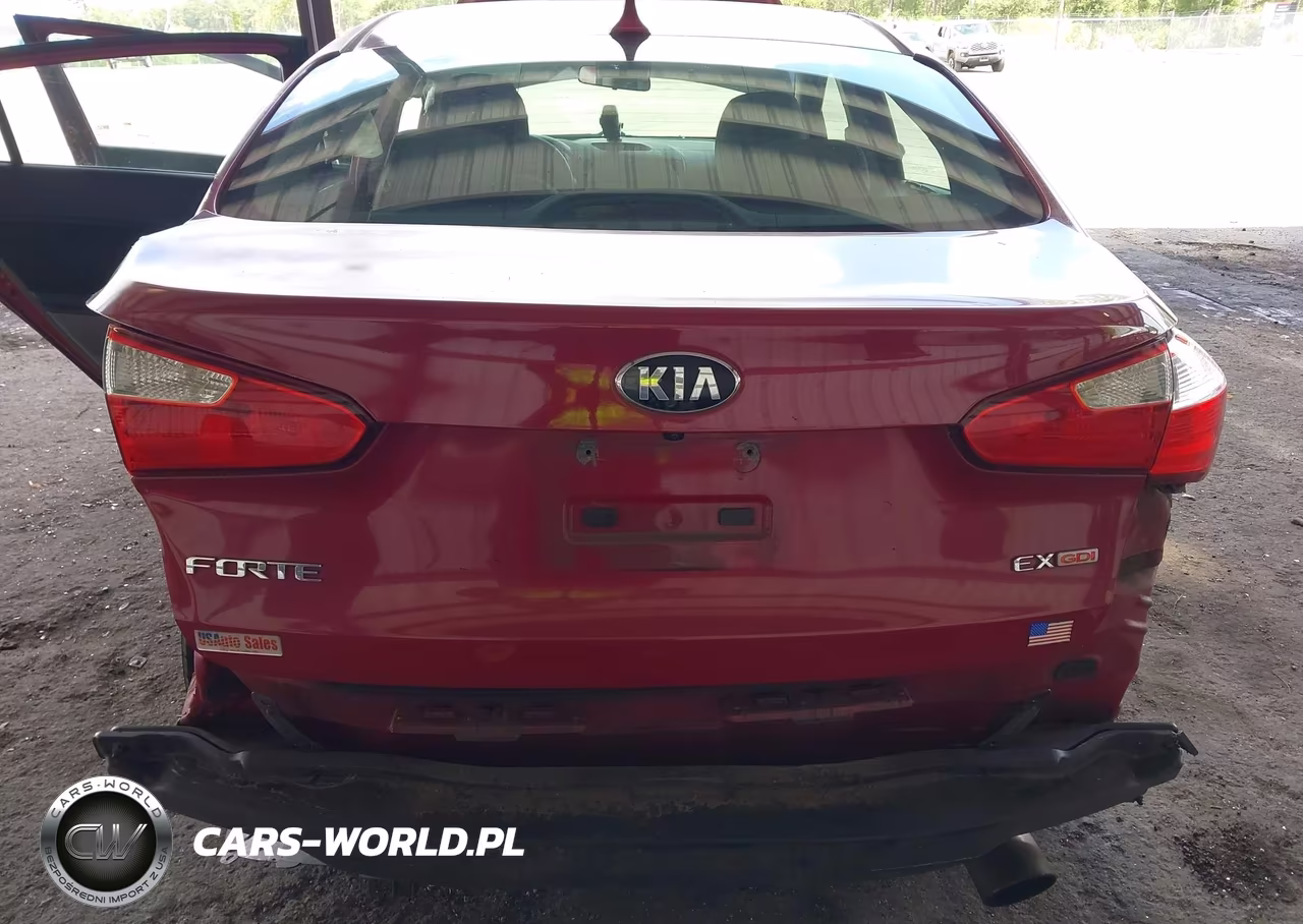 2014 Kia Forte Ex VIN:KNAFX4A8XE5138931 - 16