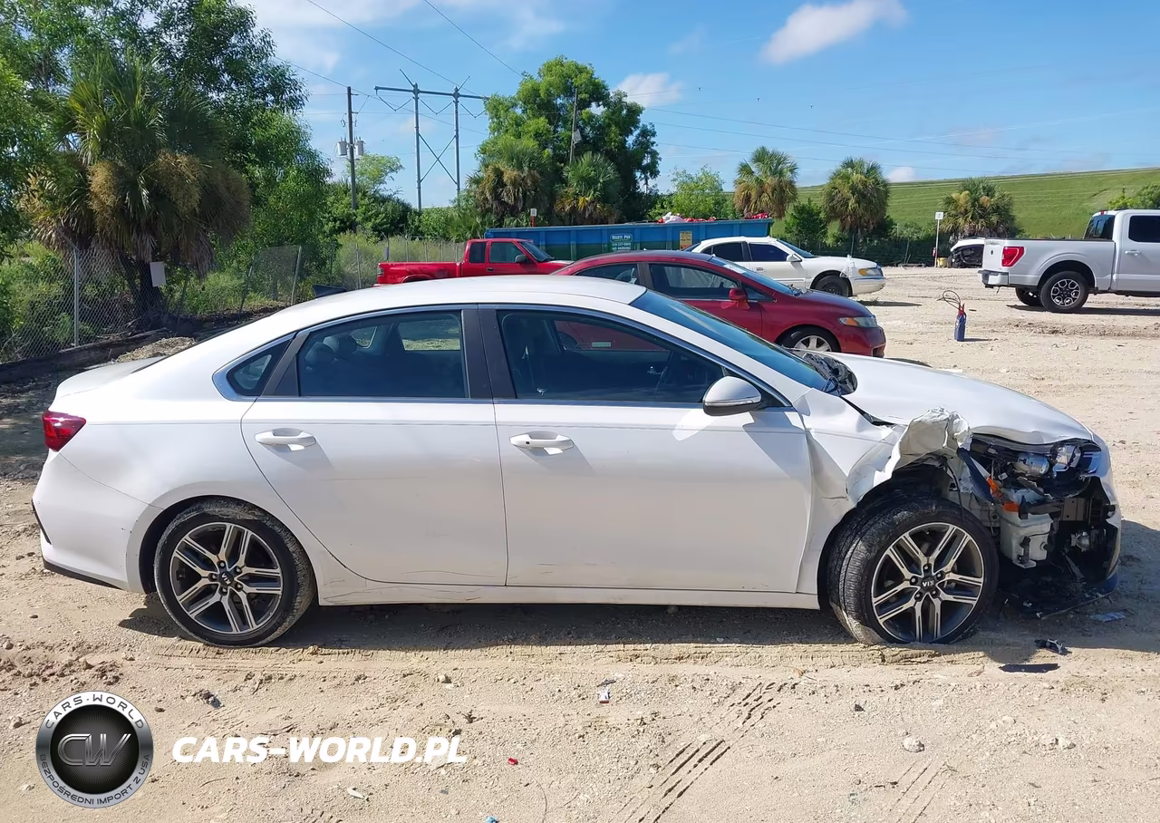 2019 Kia Forte Ex VIN:3KPF54AD7KE040672 - 13