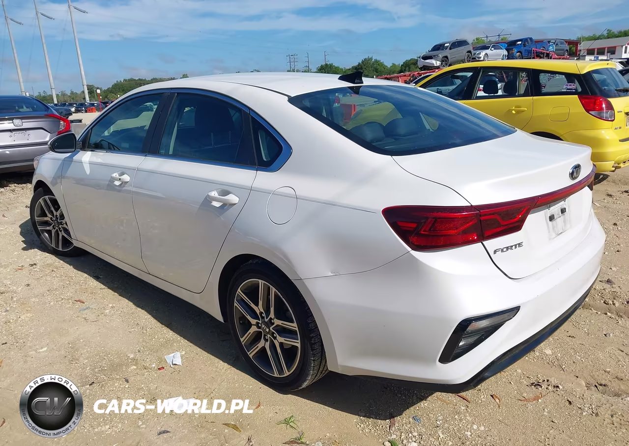 2019 Kia Forte Ex VIN:3KPF54AD7KE040672 - 3