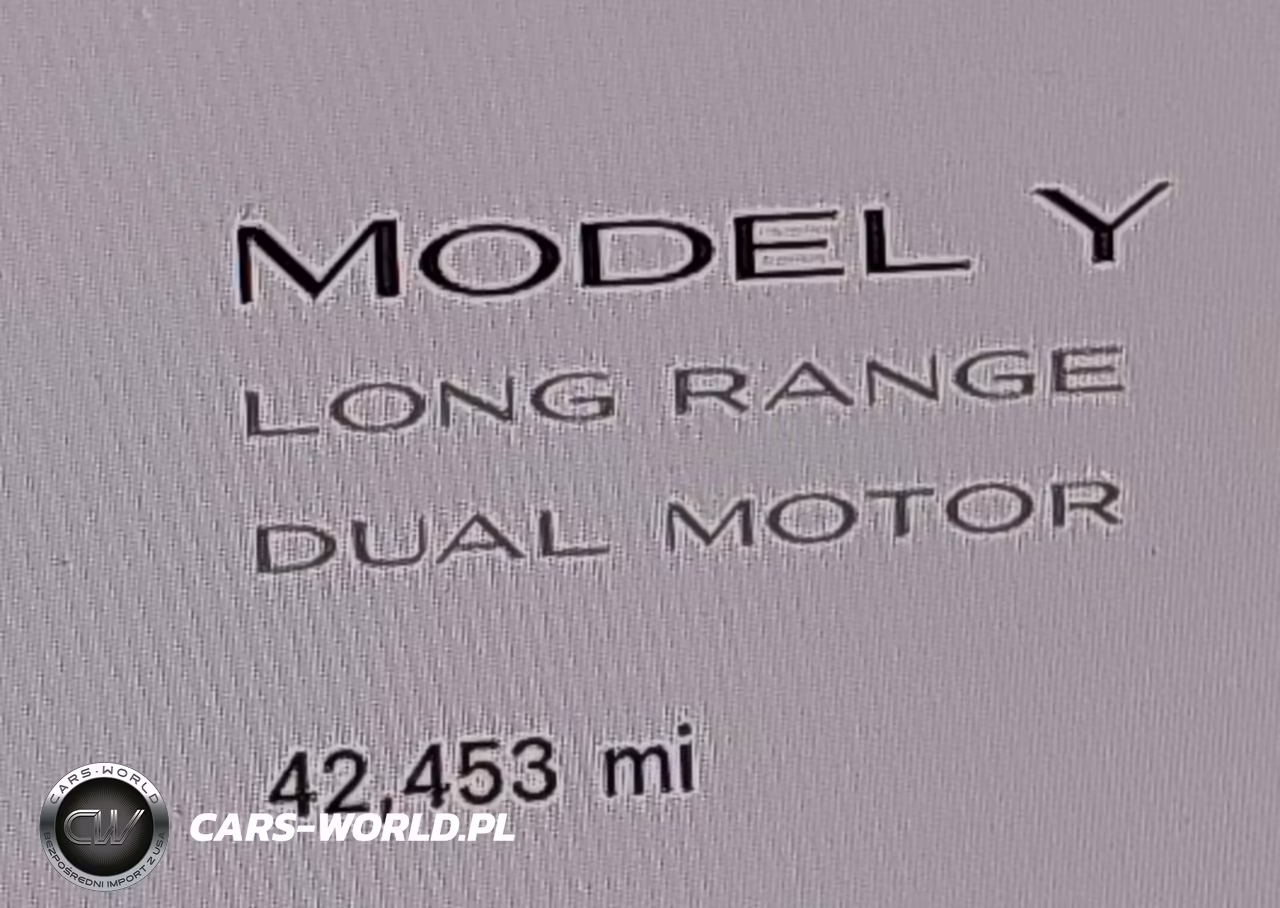 2020 Tesla Model Y Long Range Dual Motor All-Wheel Drive VIN:5YJYGDEE9LF059841 - 16