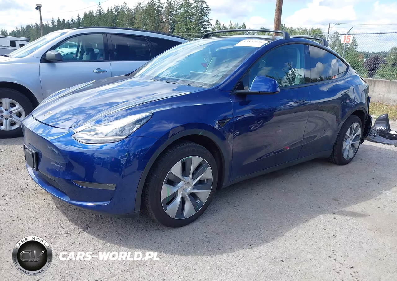 2020 Tesla Model Y Long Range Dual Motor All-Wheel Drive VIN:5YJYGDEE9LF059841 - 2