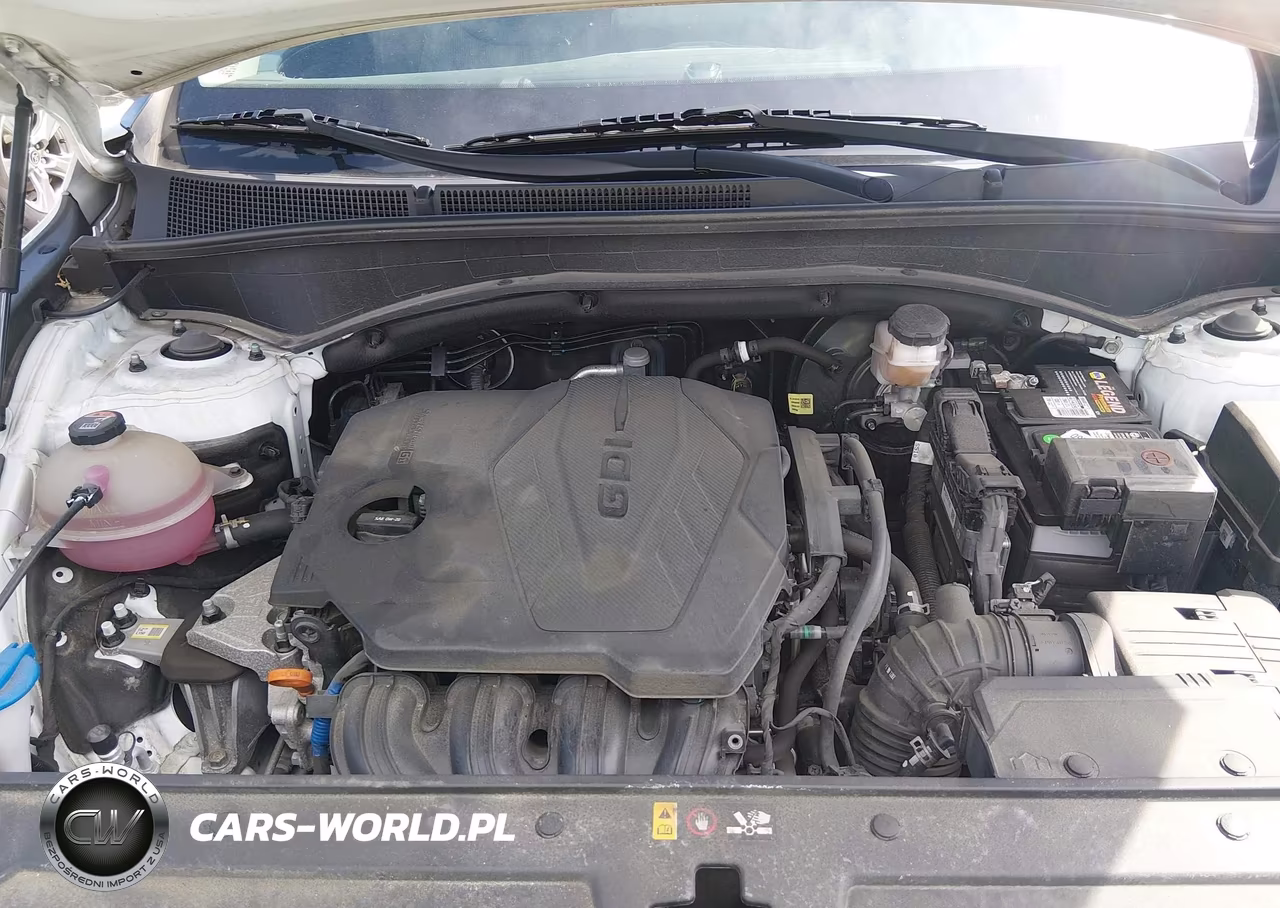 2022 Hyundai Santa Fe Sel VIN:5NMS64AJ9NH404654 - 10