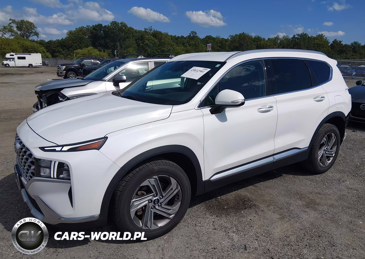 2022 Hyundai Santa Fe Sel VIN:5NMS64AJ9NH404654 - 2