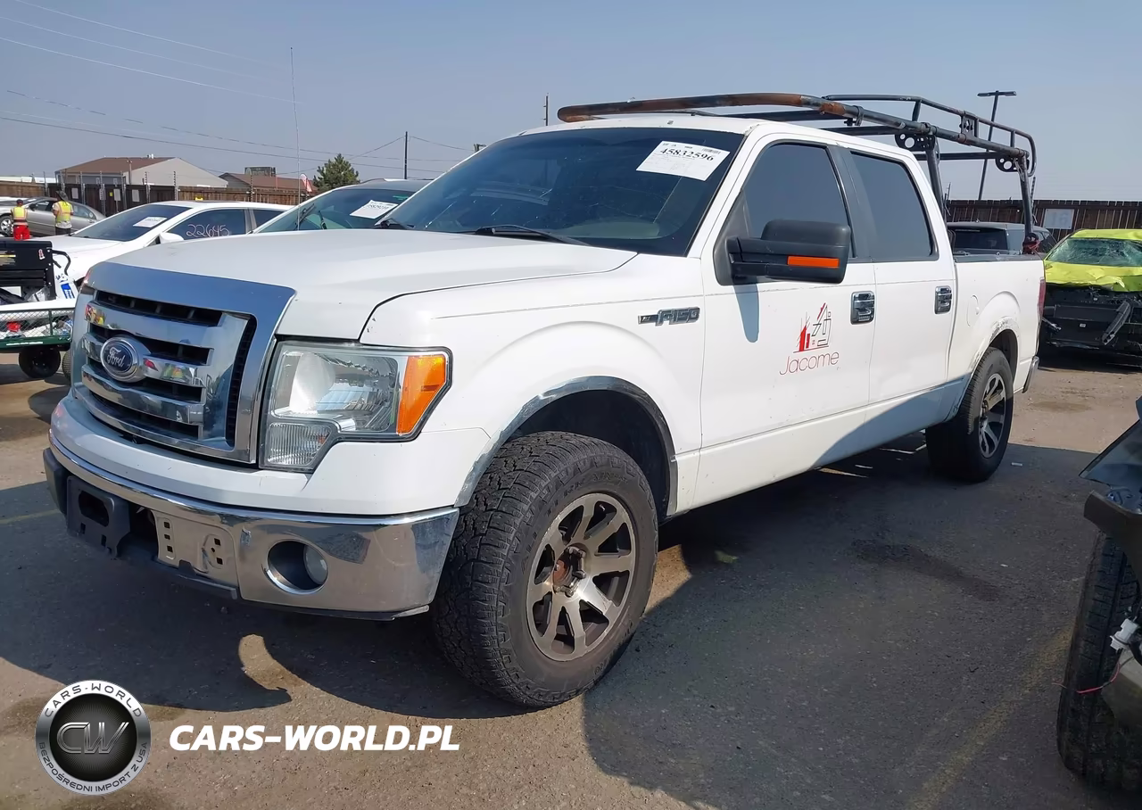 2011 Ford F-150 Xlt VIN:1FTFW1CF0BKD43848 - 2