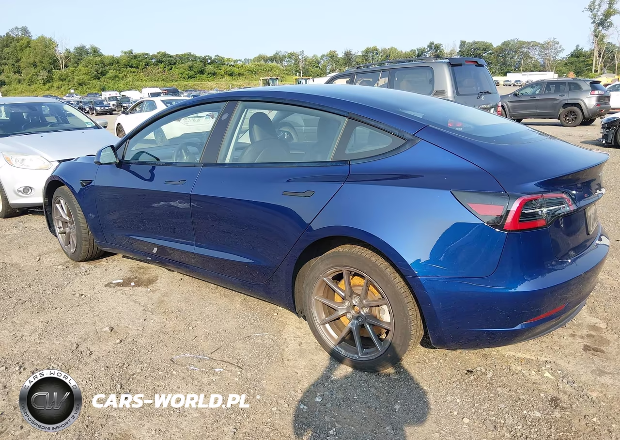 2023 Tesla Model 3 Rear-Wheel Drive VIN:5YJ3E1EA7PF578341 - 3