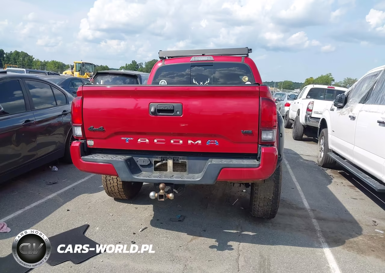 2019 Toyota Tacoma Sr5 V6 VIN:5TFCZ5AN8KX199934 - 16