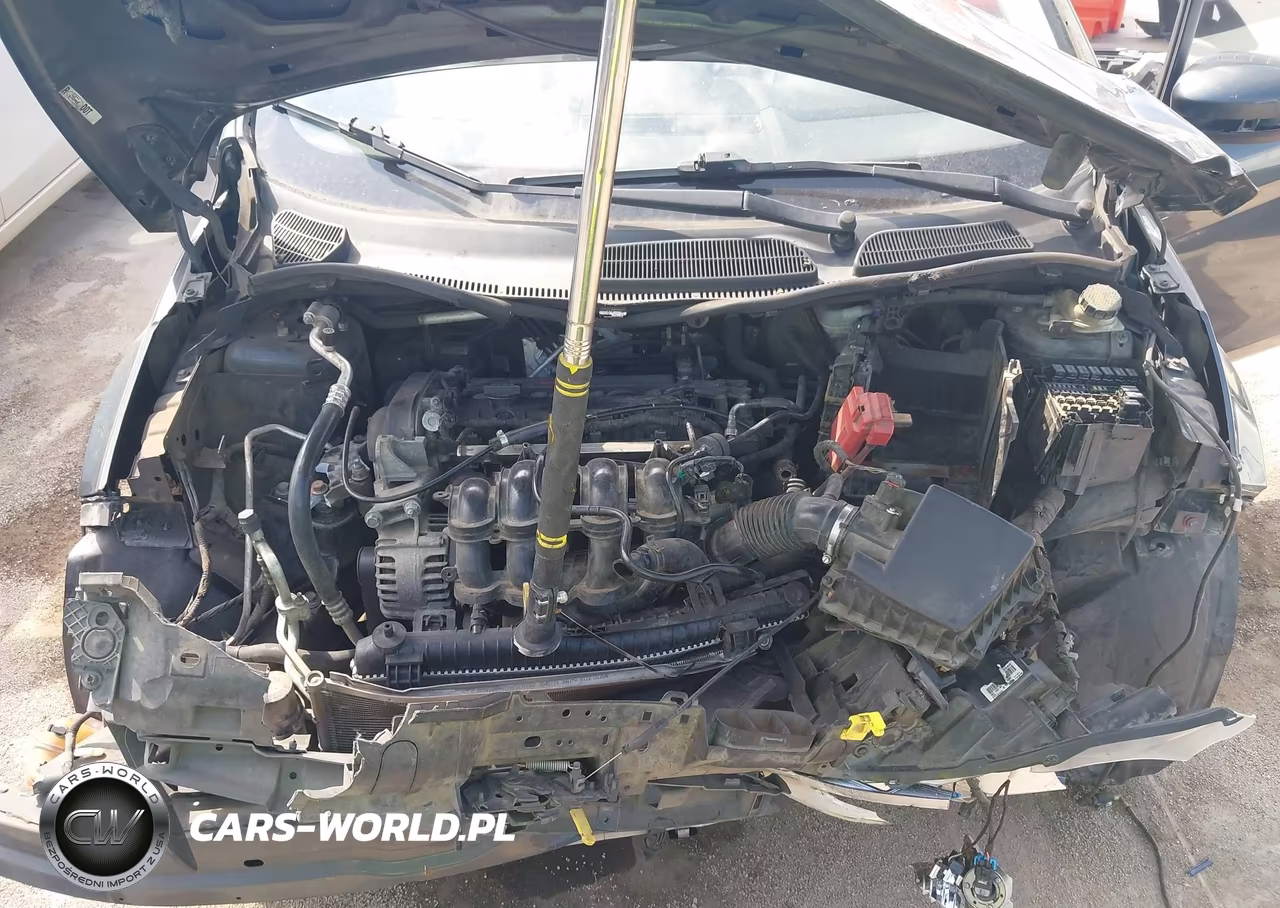 2011 Ford Fiesta Se VIN:3FADP4EJ1BM145205 - 10