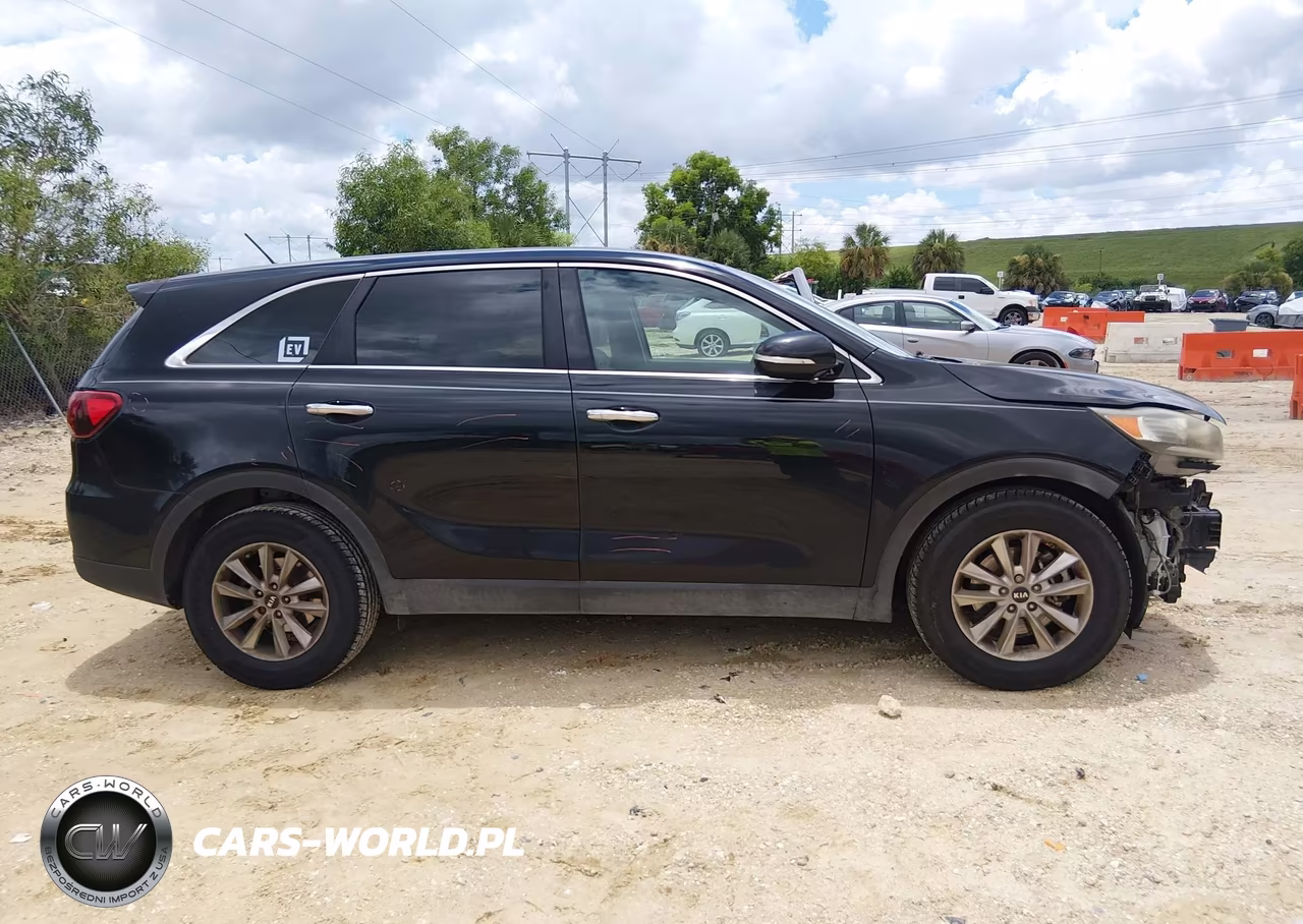 2019 Kia Sorento 2.4L Lx VIN:5XYPG4A36KG438433 - 13