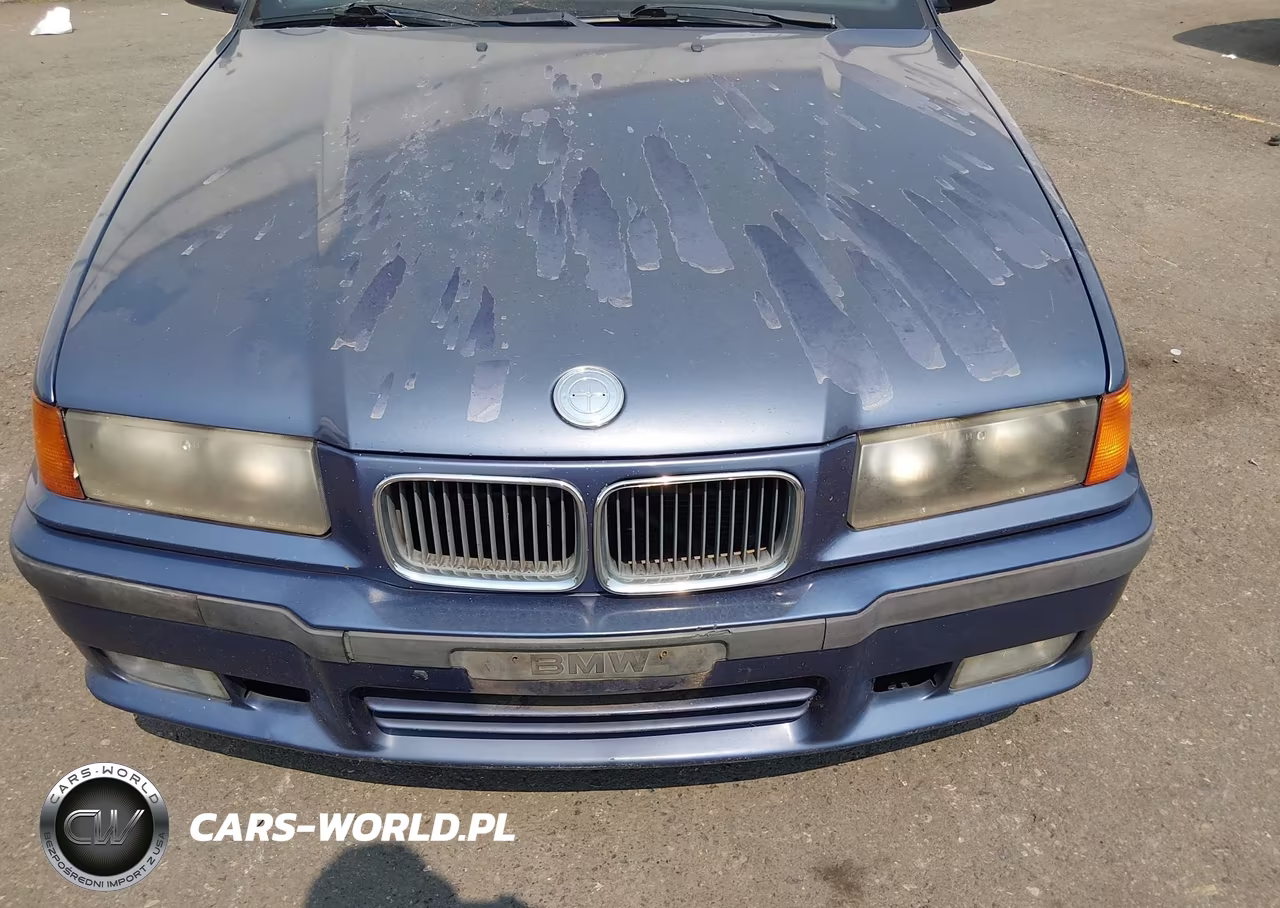 1996 BMW 318 Ti Automatic VIN:WBACG8321TAU36405 - 6