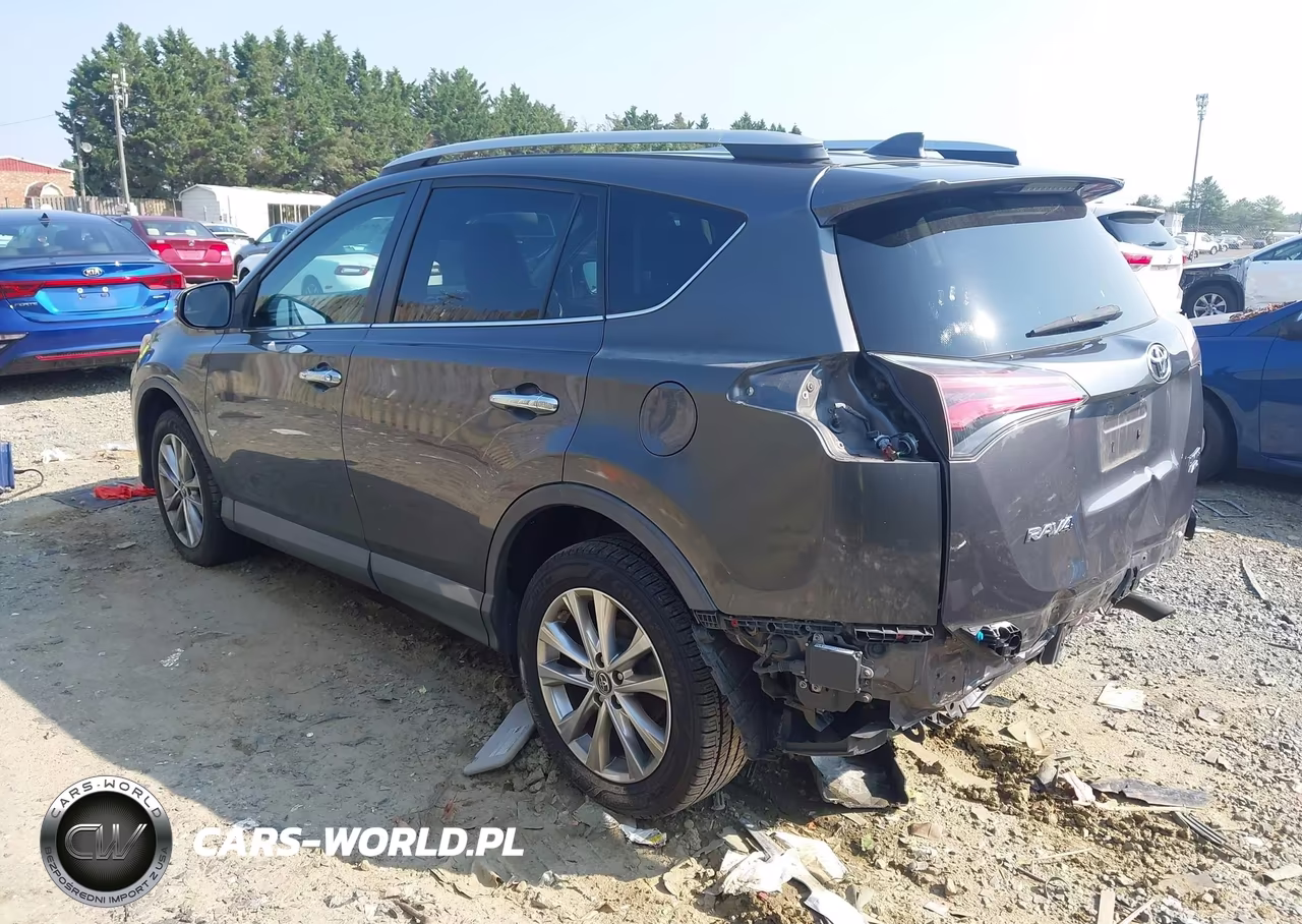 2016 Toyota Rav4 Limited VIN:2T3DFREV8GW494929 - 3