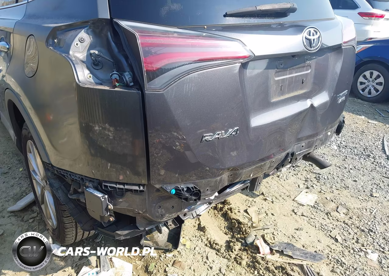 2016 Toyota Rav4 Limited VIN:2T3DFREV8GW494929 - 6