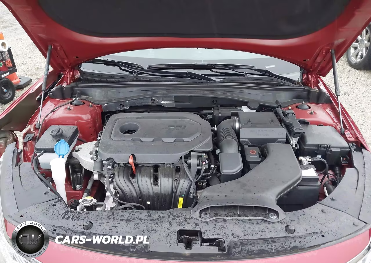 KIA OPTIMA VIN:5XXGT4L31LG450083 - 10