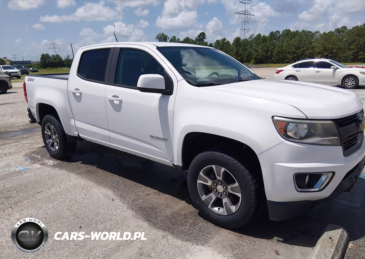 2017 Chevrolet Colorado 4Wd Z71 VIN:1GCGTDEN9H1284400 - 19