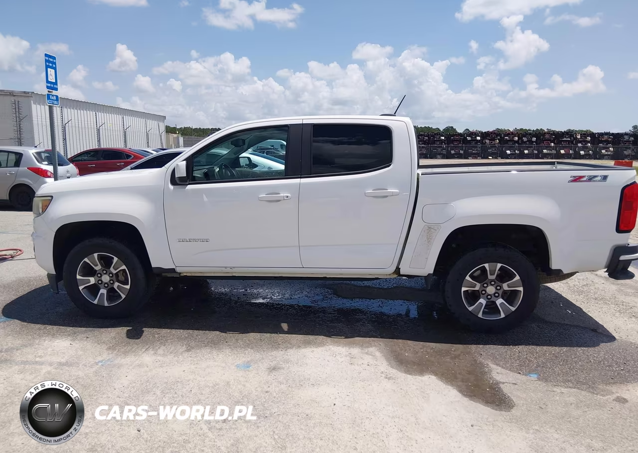 2017 Chevrolet Colorado 4Wd Z71 VIN:1GCGTDEN9H1284400 - 20