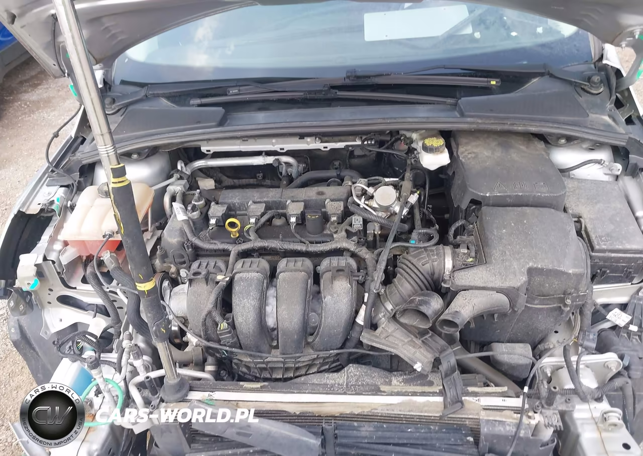 2018 Ford Focus Se VIN:1FADP3F22JL224898 - 10