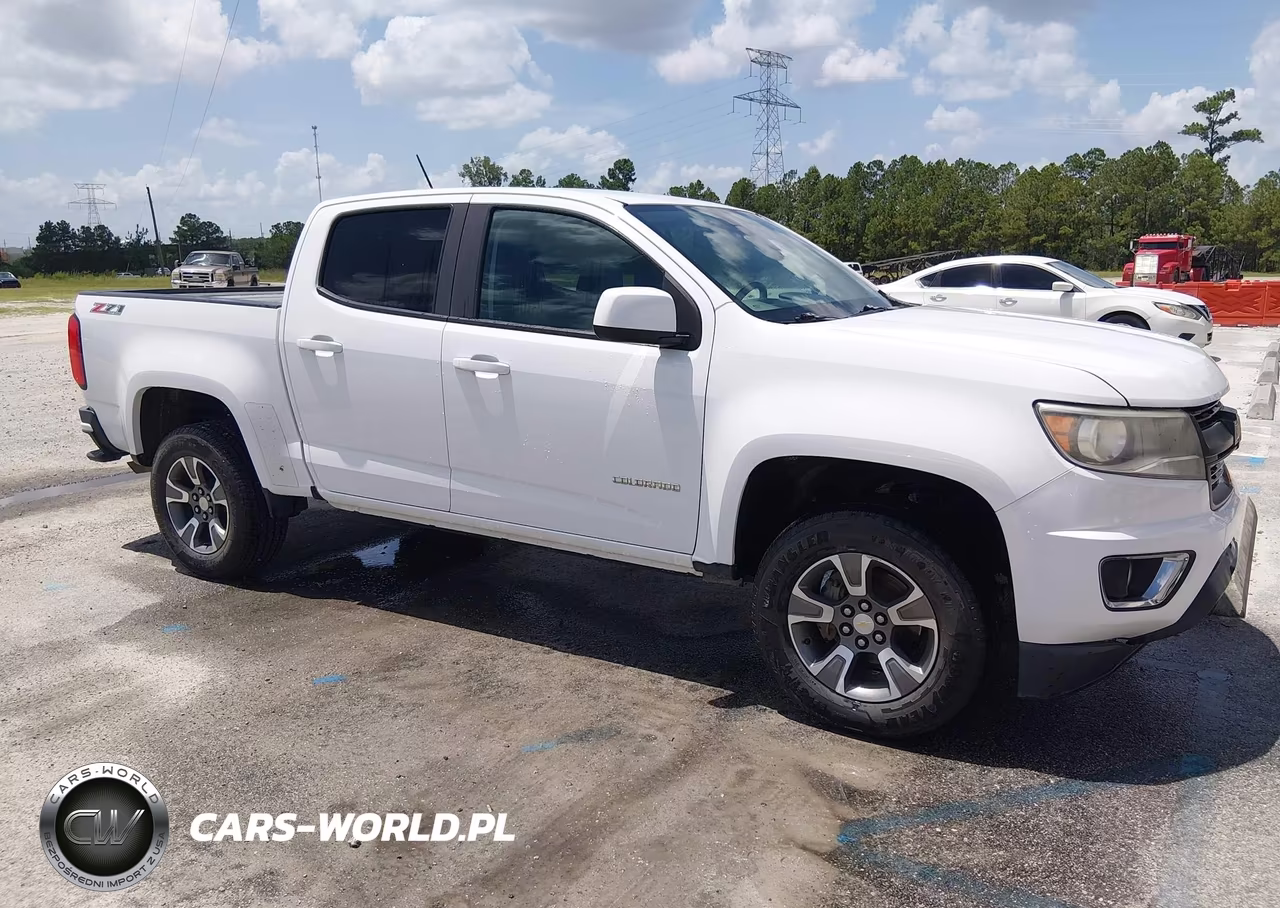 2017 Chevrolet Colorado 4Wd Z71 VIN:1GCGTDENXH1284583 - 19