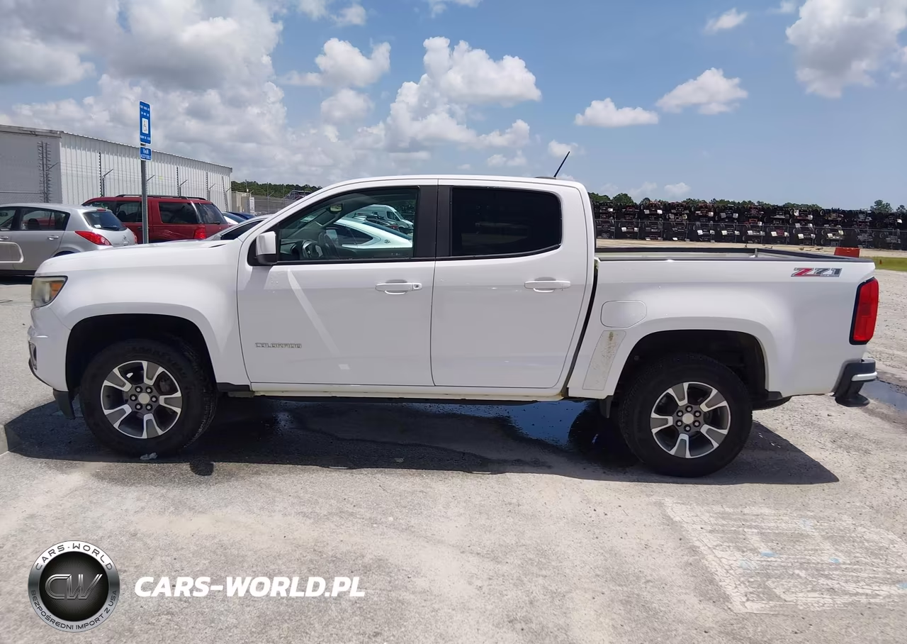 2017 Chevrolet Colorado 4Wd Z71 VIN:1GCGTDENXH1284583 - 20