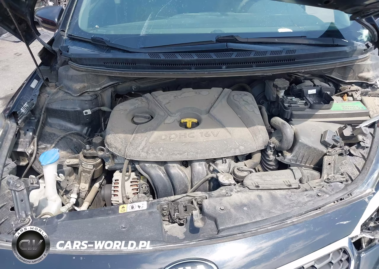 2015 Kia Forte Lx VIN:KNAFX4A6XF5415285 - 10