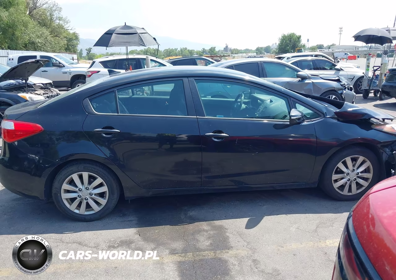 2015 Kia Forte Lx VIN:KNAFX4A6XF5415285 - 13