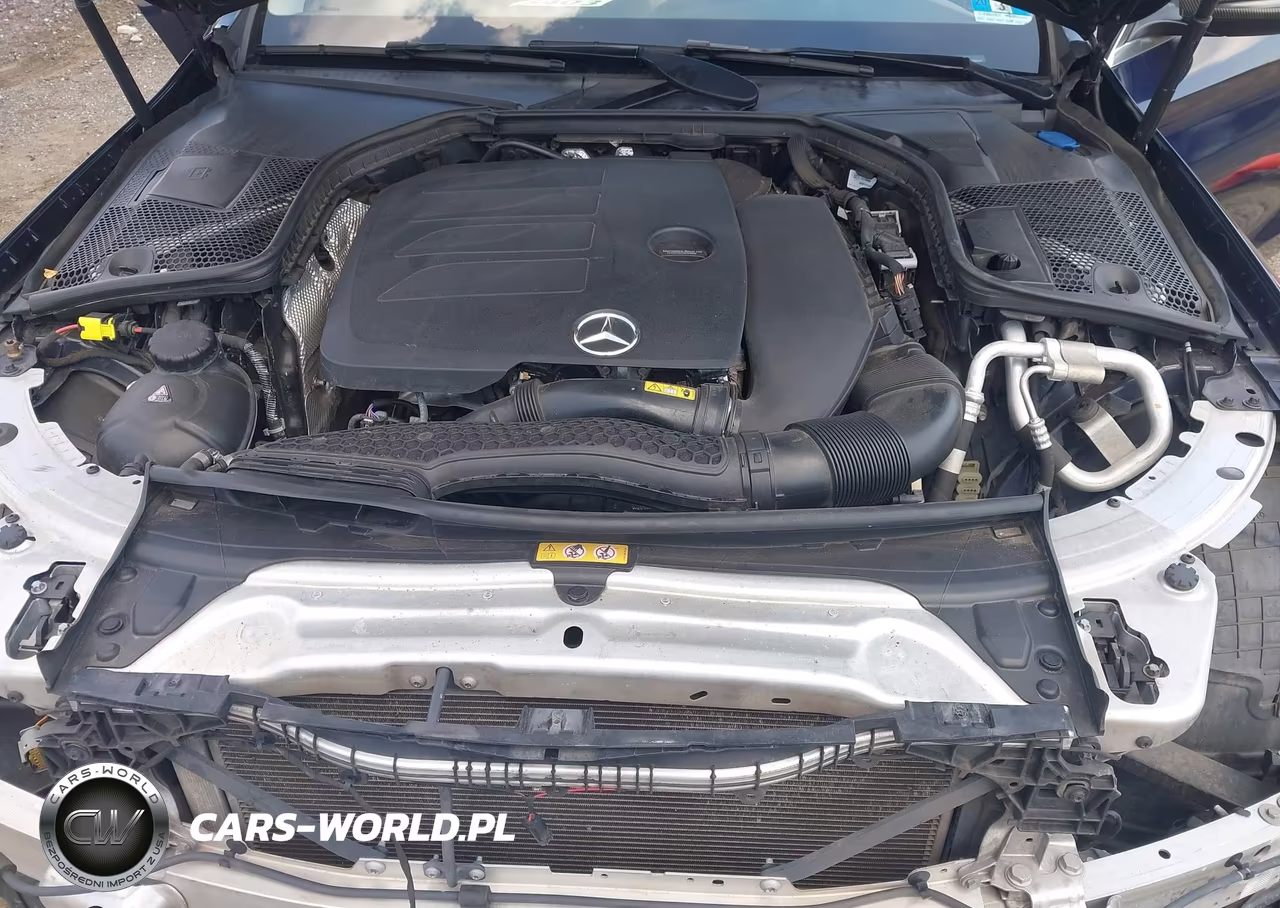2019 Mercedes-Benz C 300 4Matic VIN:55SWF8EB0KU284007 - 10