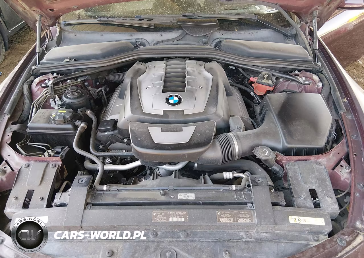 2006 BMW 650I VIN:WBAEK13416CN76477 - 10