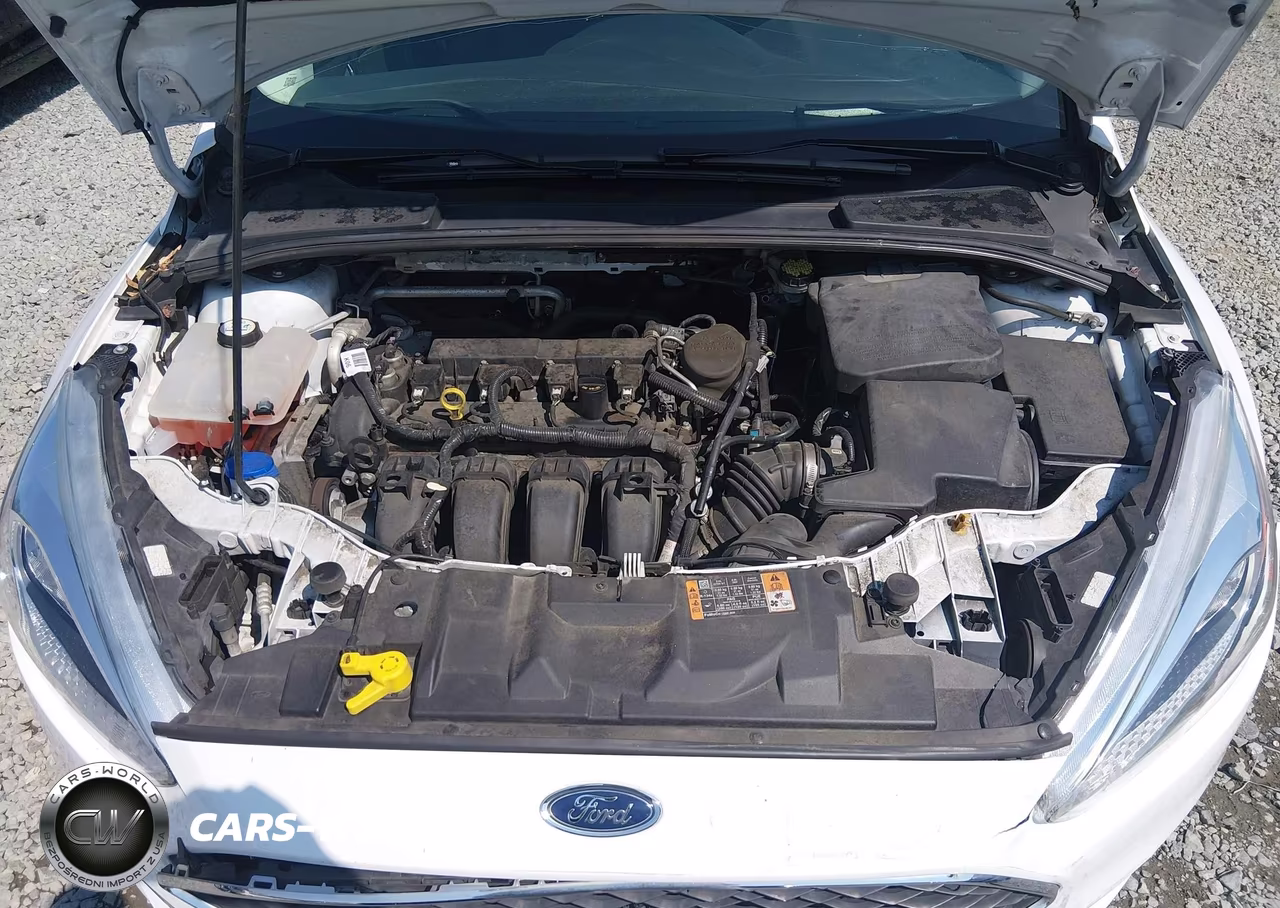 2016 Ford Focus Se VIN:1FADP3K28GL247259 - 10