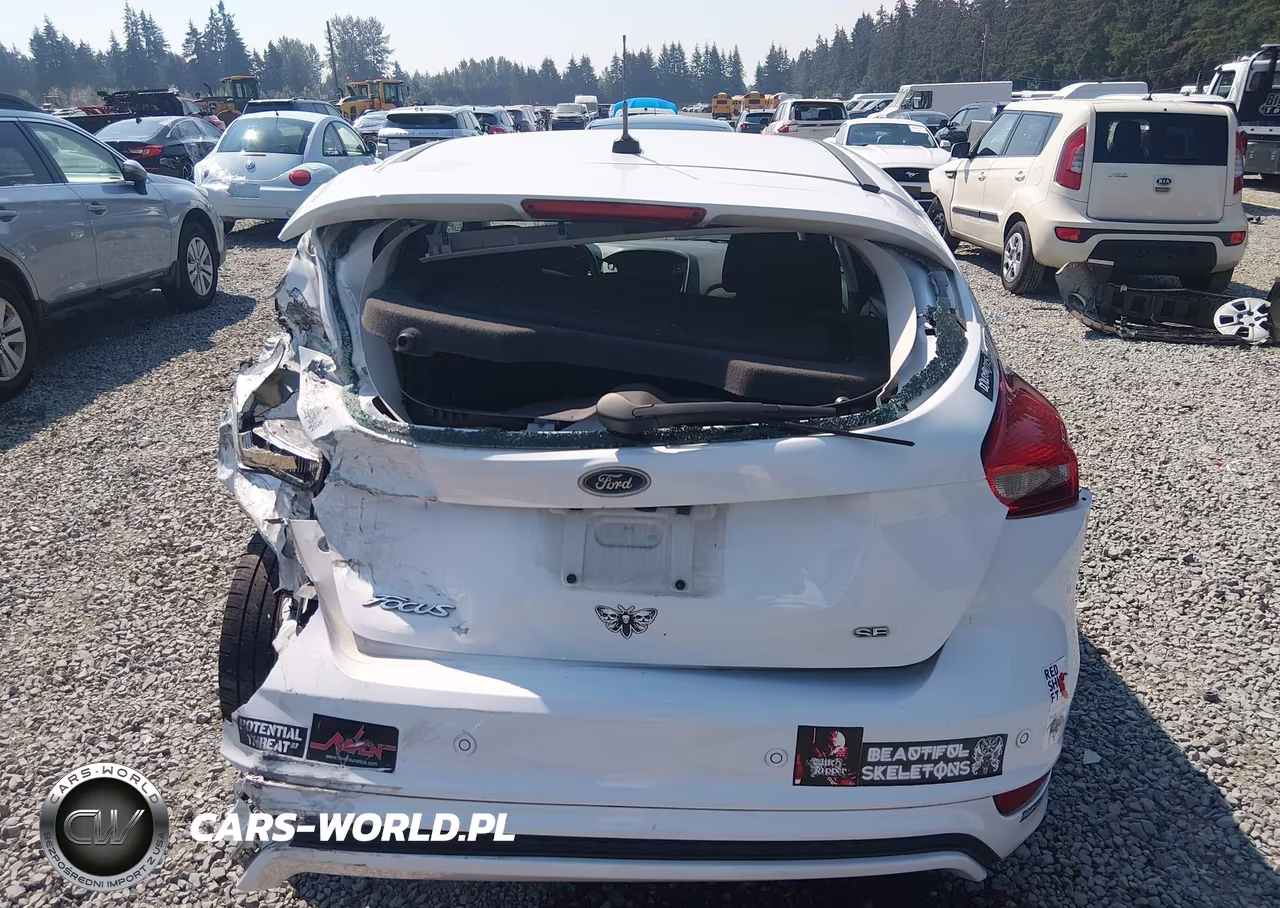 2016 Ford Focus Se VIN:1FADP3K28GL247259 - 16