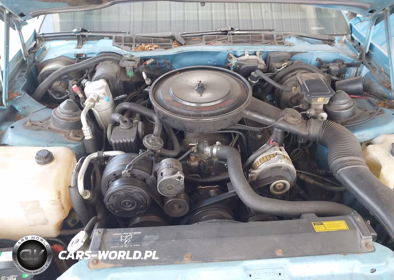 1989 Pontiac Firebird Formula VIN:1G2FS21E1KL218738 - 10