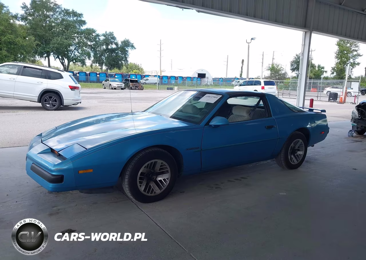 1989 Pontiac Firebird Formula VIN:1G2FS21E1KL218738 - 14
