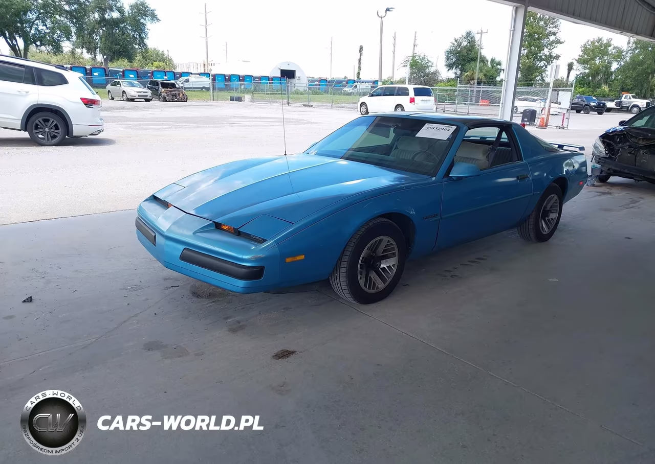 1989 Pontiac Firebird Formula VIN:1G2FS21E1KL218738 - 2
