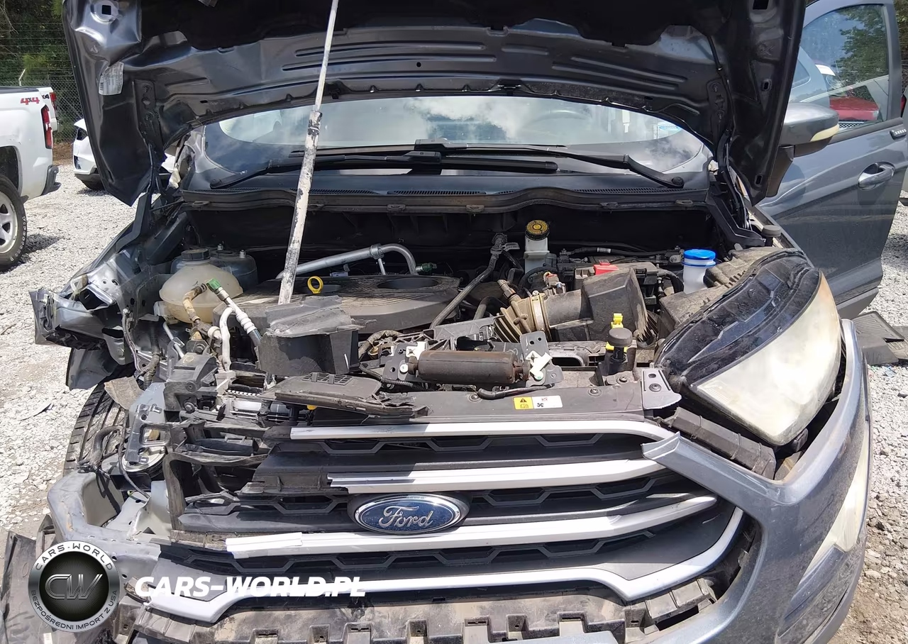 2018 Ford Ecosport Se VIN:MAJ6P1UL0JC224357 - 10