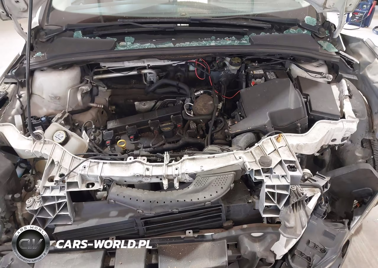 2013 Ford Focus Titanium VIN:1FADP3J25DL186661 - 10
