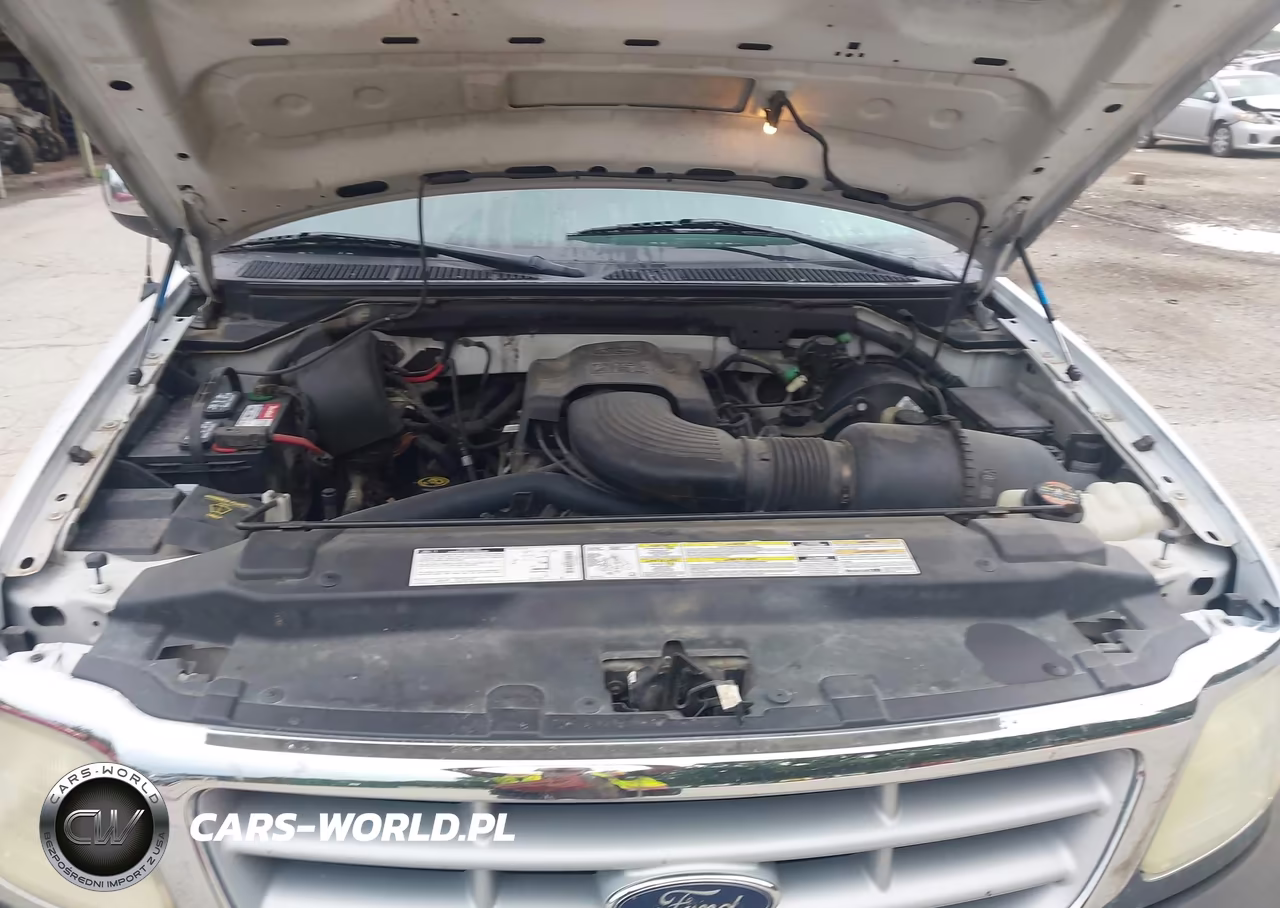 1999 Ford F-150 Lariat-Work Series-Xl-Xlt VIN:1FTRX17W9XKA06185 - 10