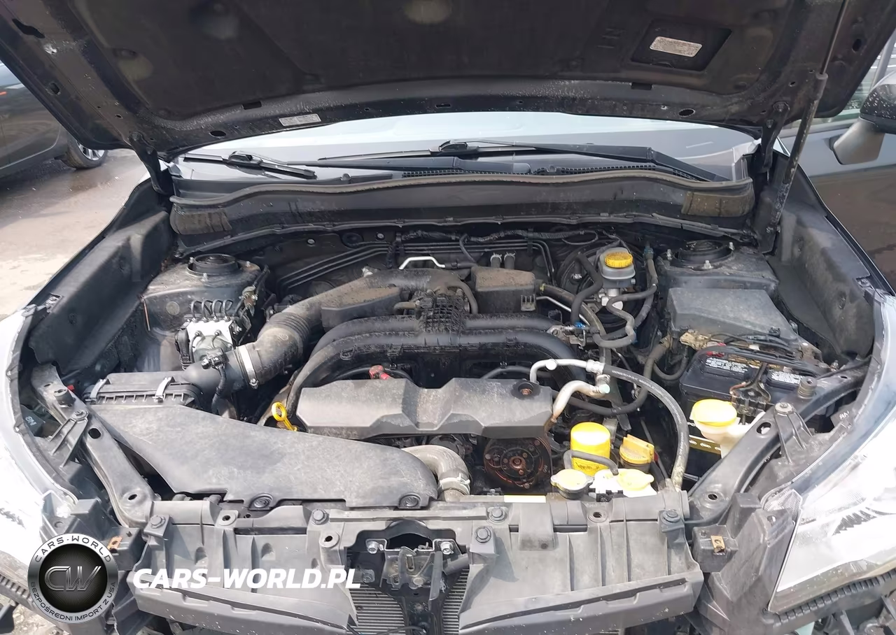 2017 Subaru Forester 2.5I Premium VIN:JF2SJAEC9HH487633 - 10