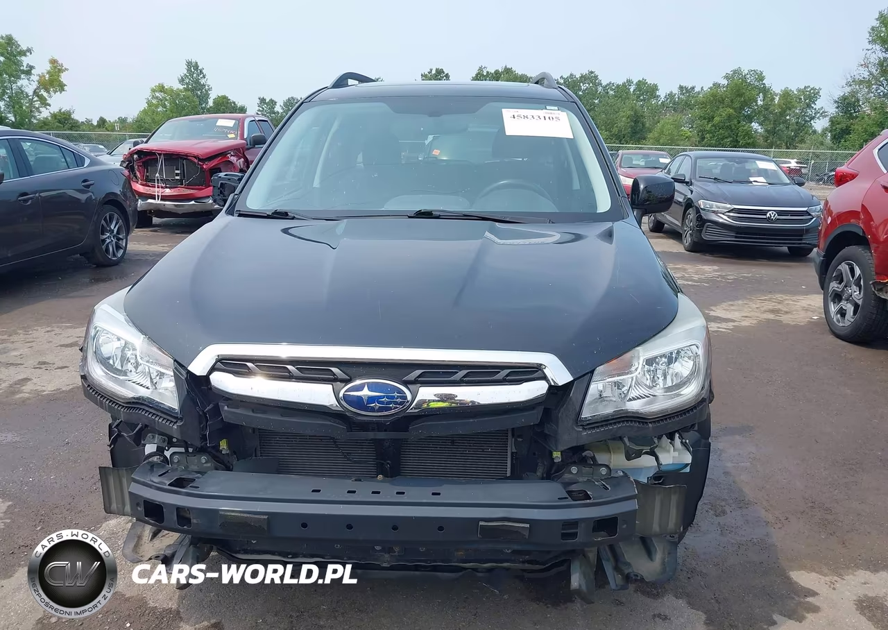 2017 Subaru Forester 2.5I Premium VIN:JF2SJAEC9HH487633 - 12
