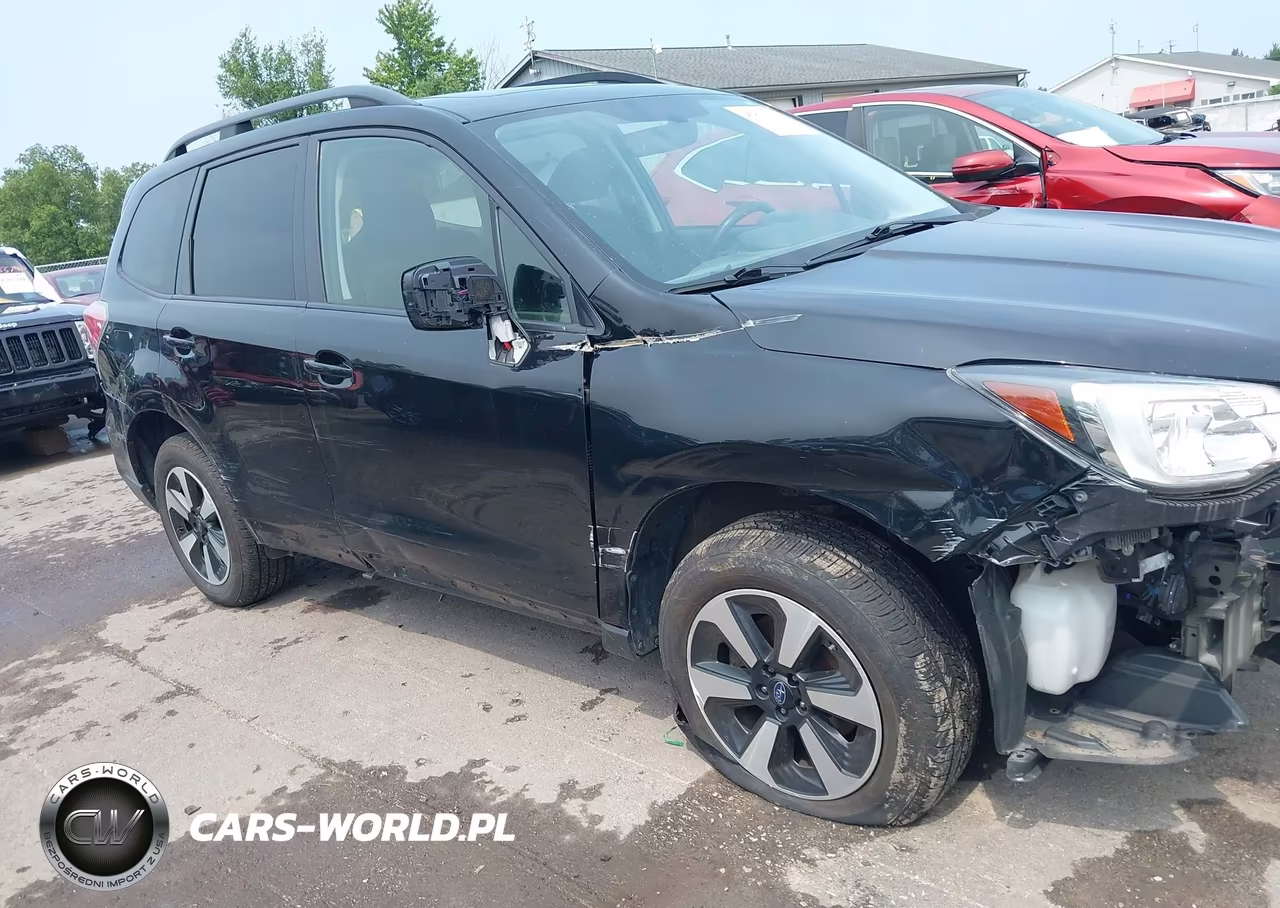 2017 Subaru Forester 2.5I Premium VIN:JF2SJAEC9HH487633 - 13