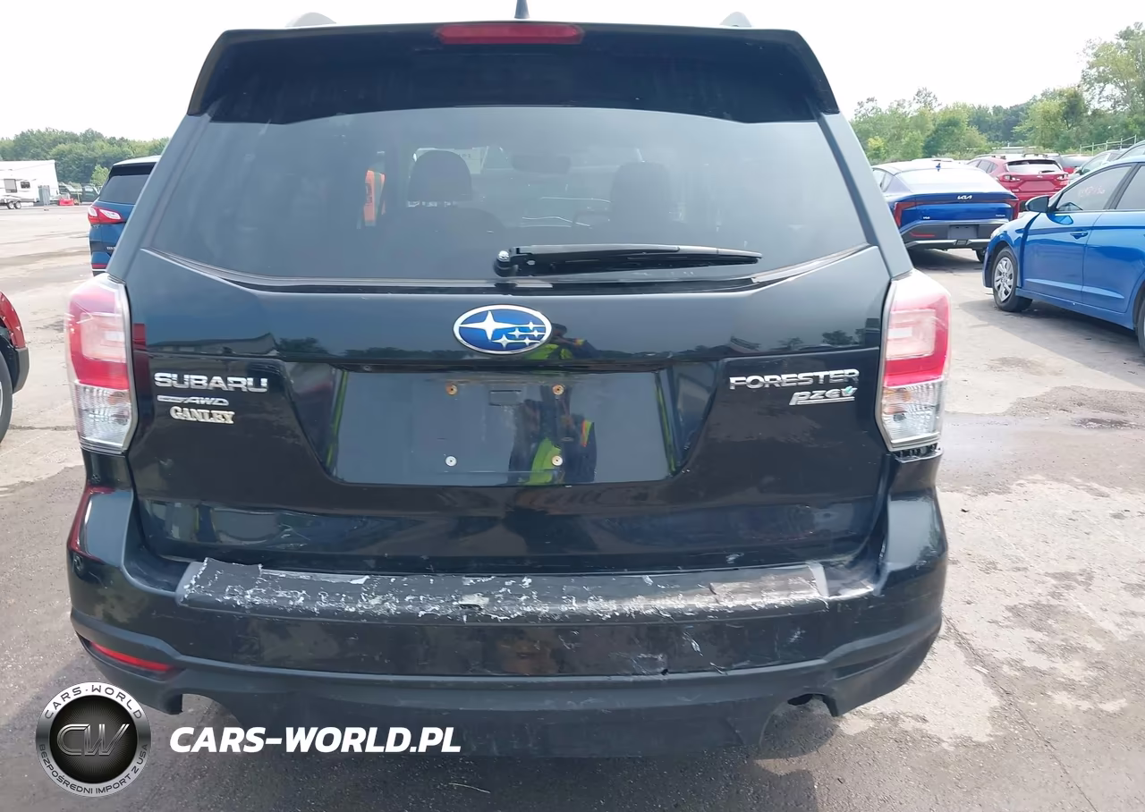 2017 Subaru Forester 2.5I Premium VIN:JF2SJAEC9HH487633 - 16