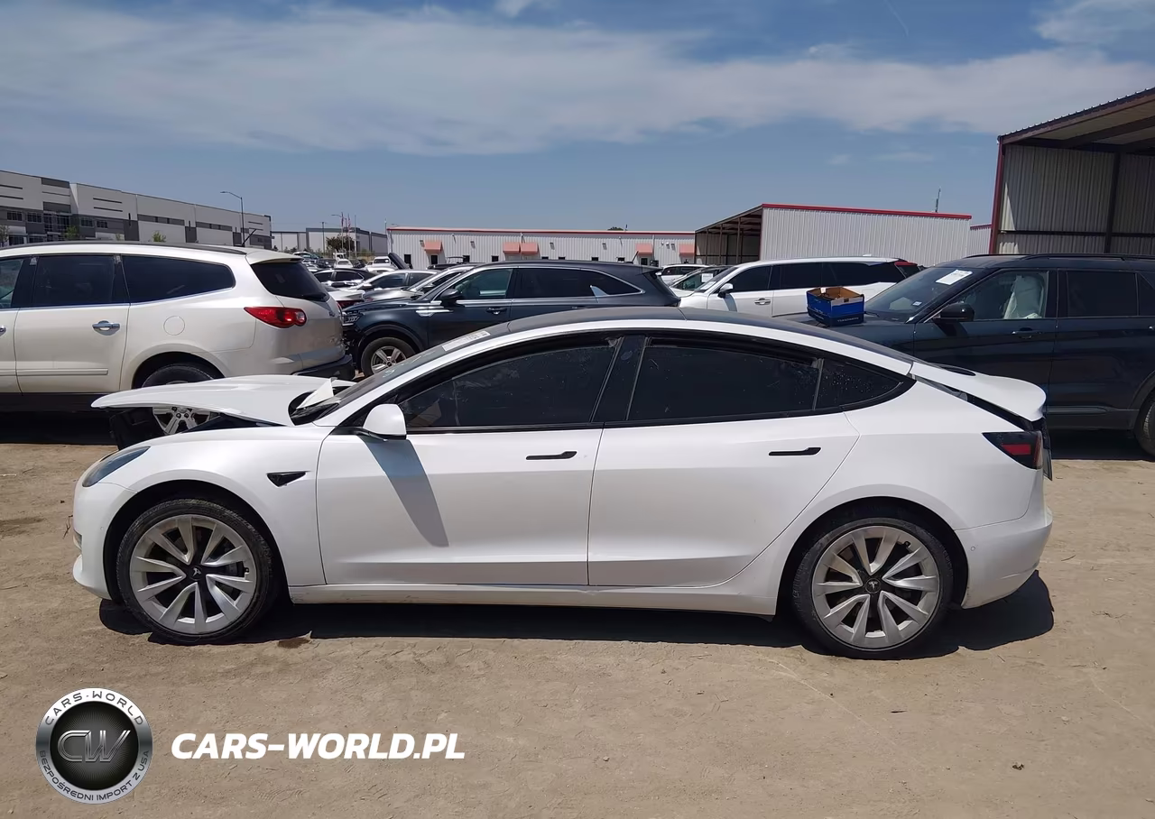 2021 Tesla Model 3 Standard Range Plus Rear-Wheel Drive VIN:5YJ3E1EA4MF858679 - 12