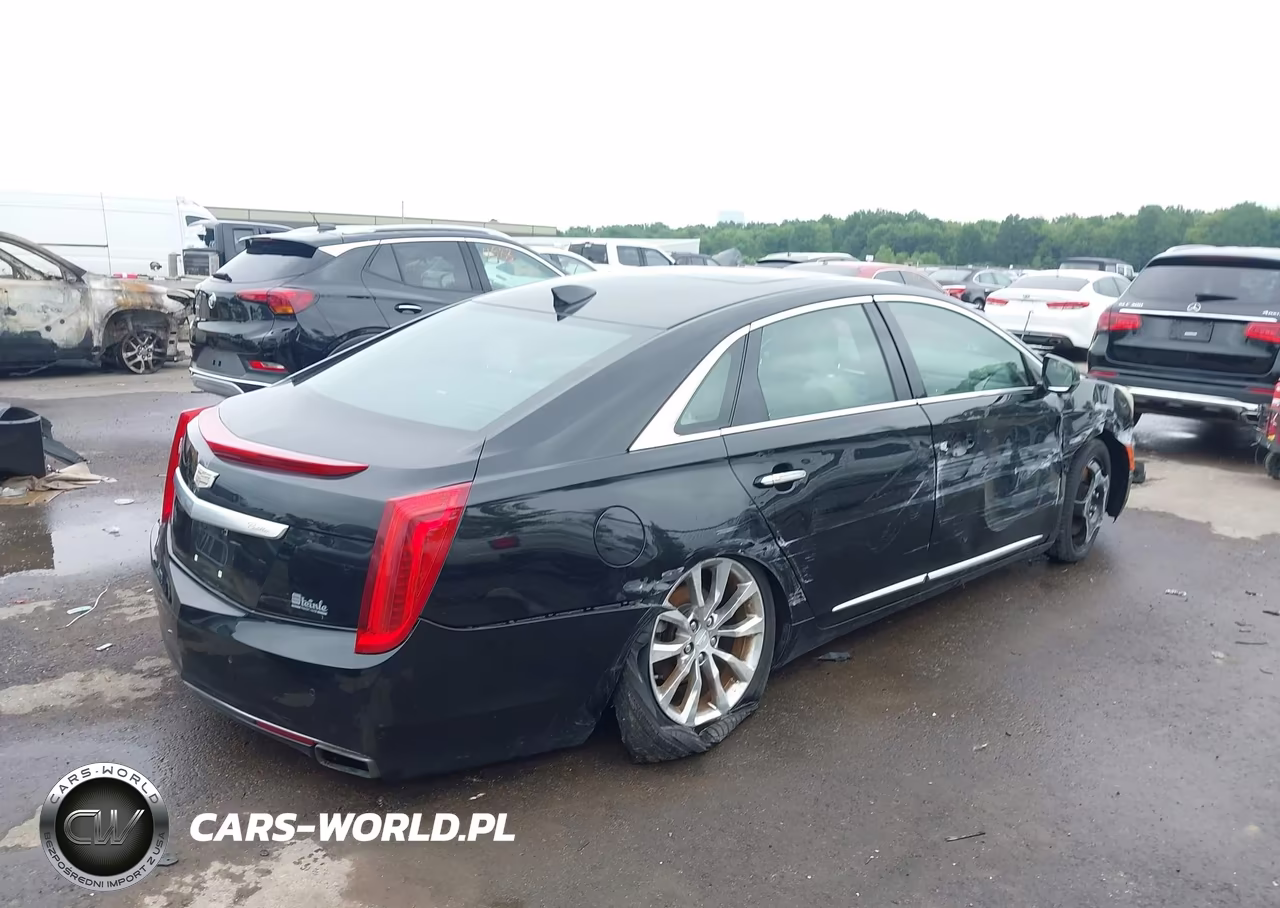 2016 Cadillac Xts Premium Collection VIN:2G61R5S33G9114589 - 4