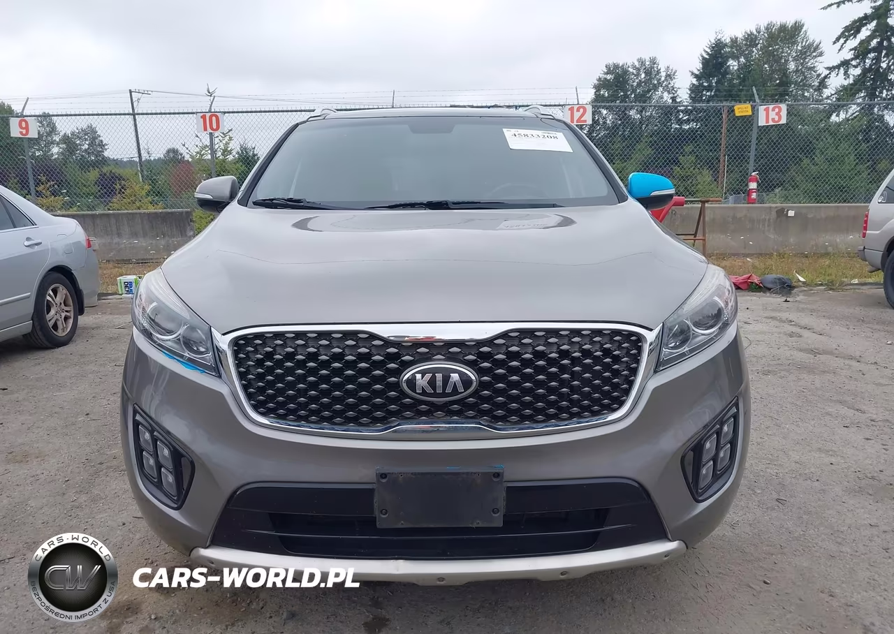 2016 Kia Sorento 3.3L Sxl VIN:5XYPKDA57GG073171 - 12