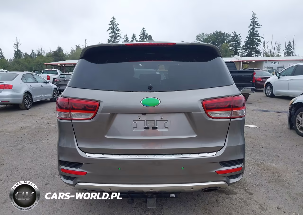 2016 Kia Sorento 3.3L Sxl VIN:5XYPKDA57GG073171 - 16